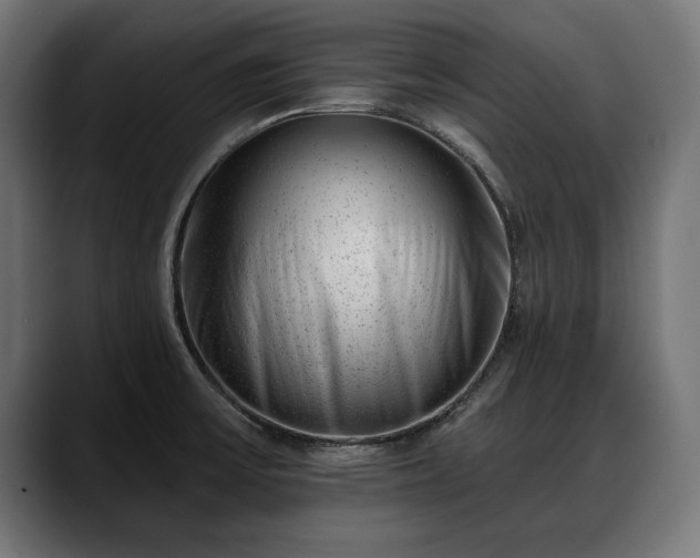 X0000088451475200705291504