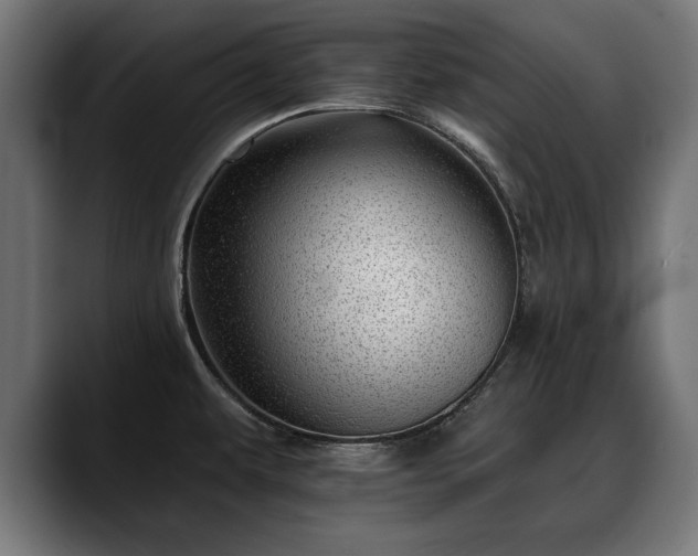 X0000088451479200705291503