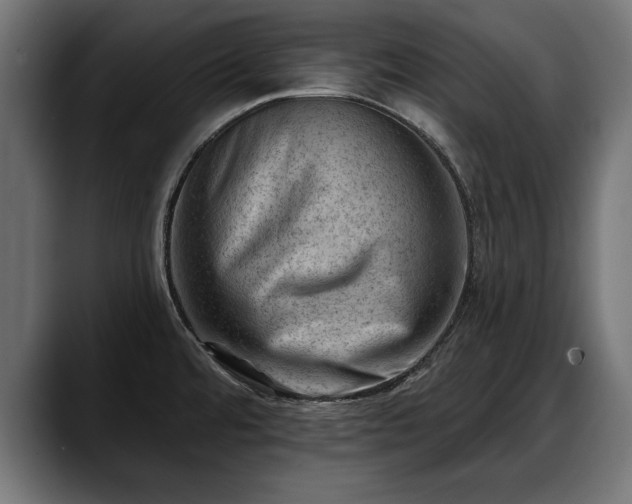 X0000088451480200705291503