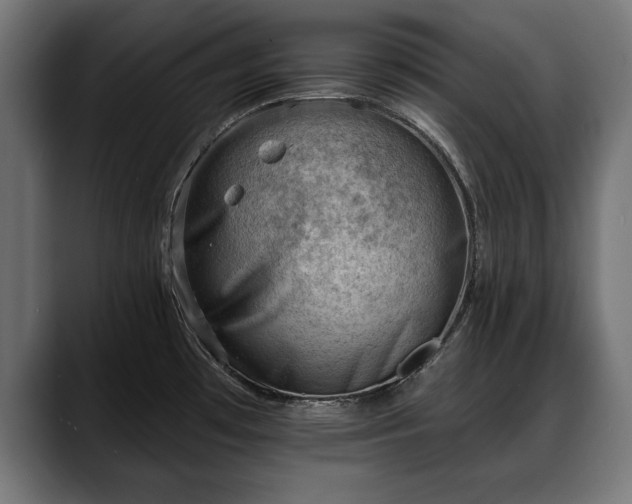 X0000088451481200705291503