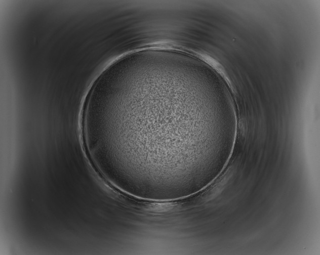X0000088451482200705291503