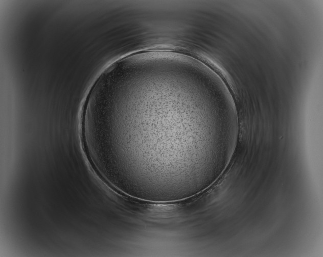 X0000088451483200705291503