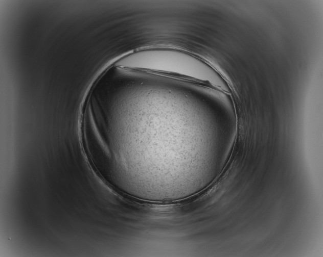 X0000088451484200705291503