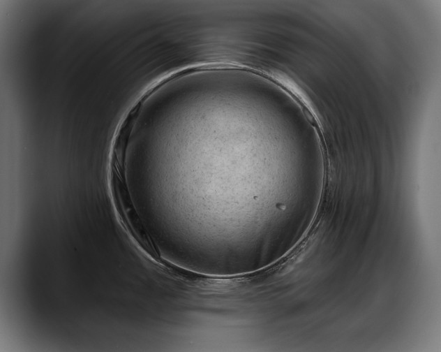 X0000088451485200705291503