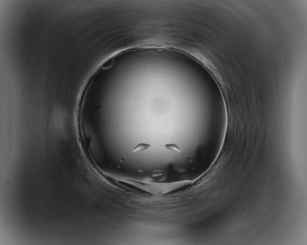 X0000088451486200705291503