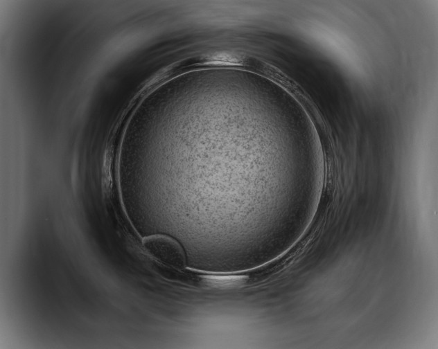 X0000088451487200705291503