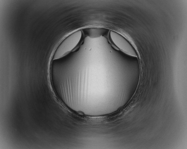 X0000088451488200705291503