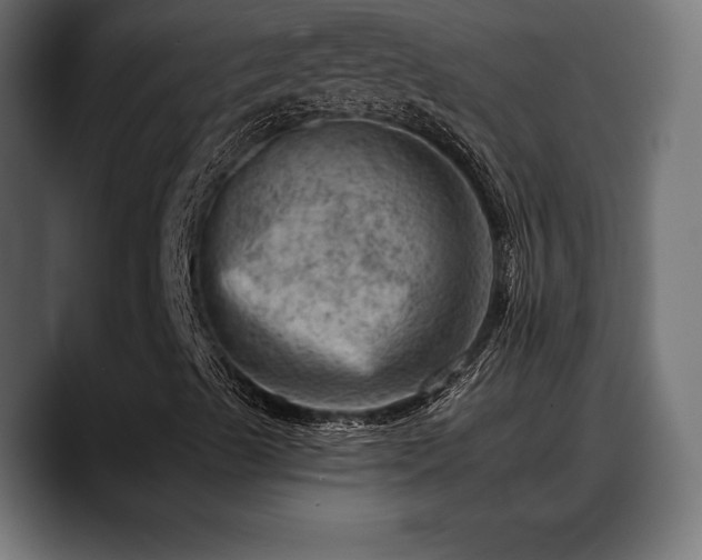 X0000088451489200705291503