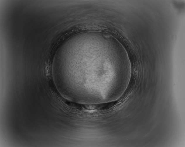 X0000088451490200705291503