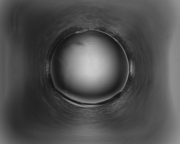 X0000088451492200705291503