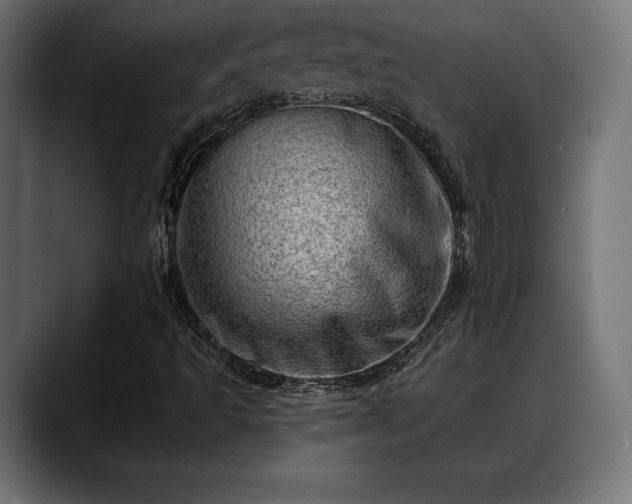 X0000088451493200705291503