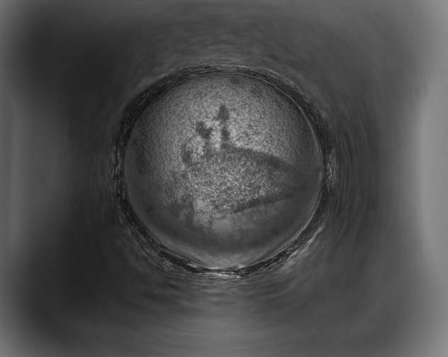 X0000088451494200705291503