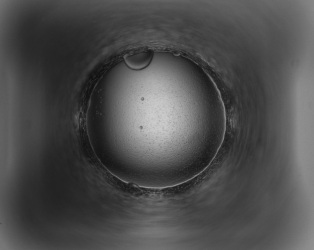 X0000088451495200705291503