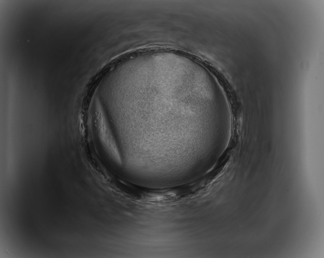 X0000088451496200705291503