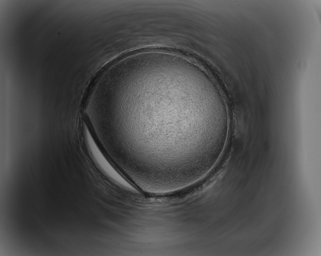 X0000088451497200705291503