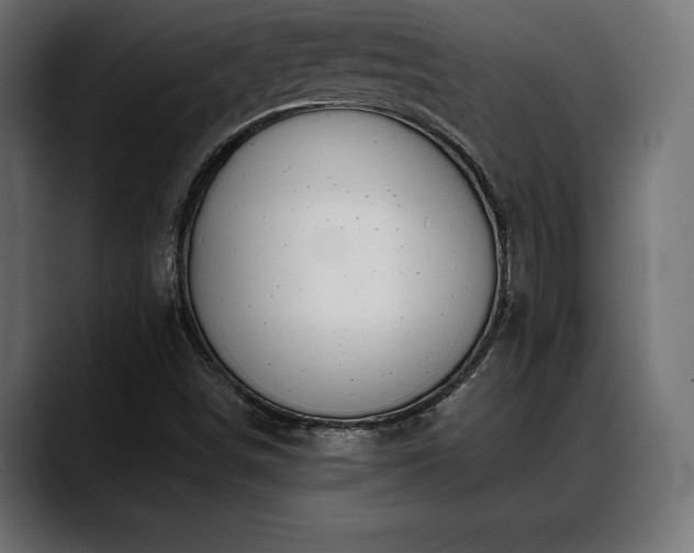 X0000088451498200705291503