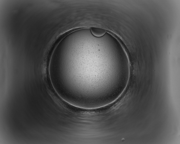 X0000088451499200705291503