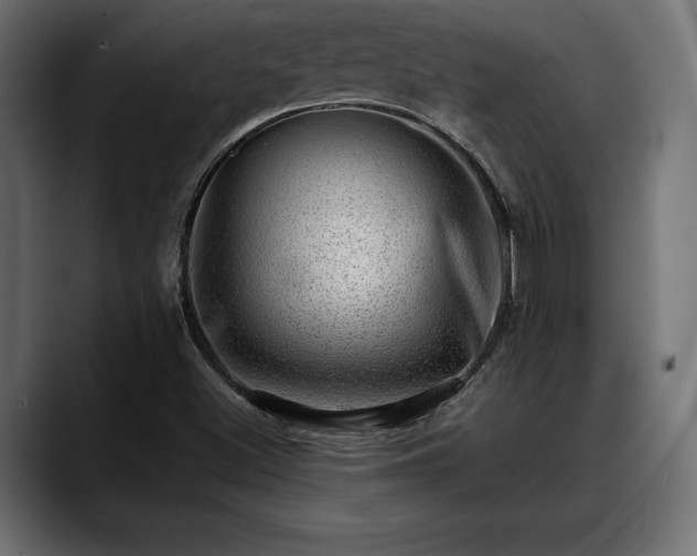 X0000088451500200705291503
