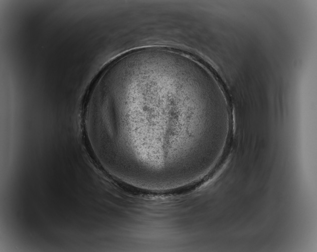 X0000088451501200705291503