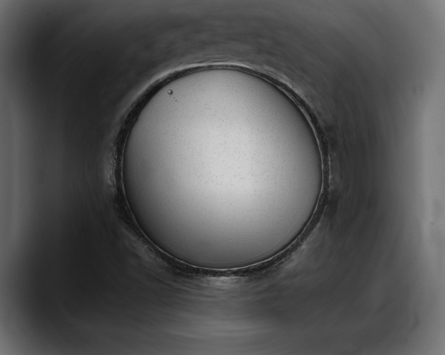 X0000088451502200705291503