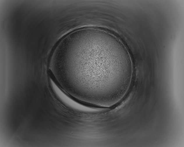 X0000088451505200705291503