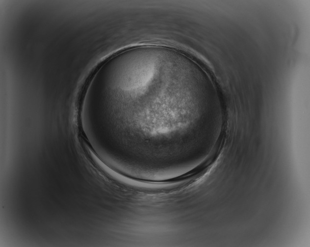 X0000088451506200705291503