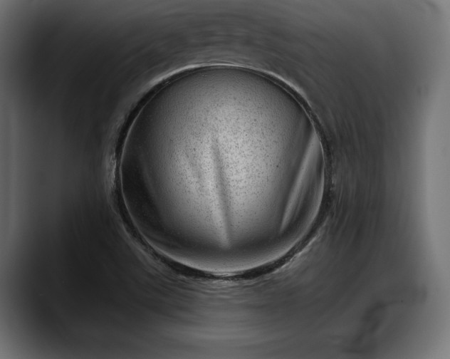 X0000088451507200705291503