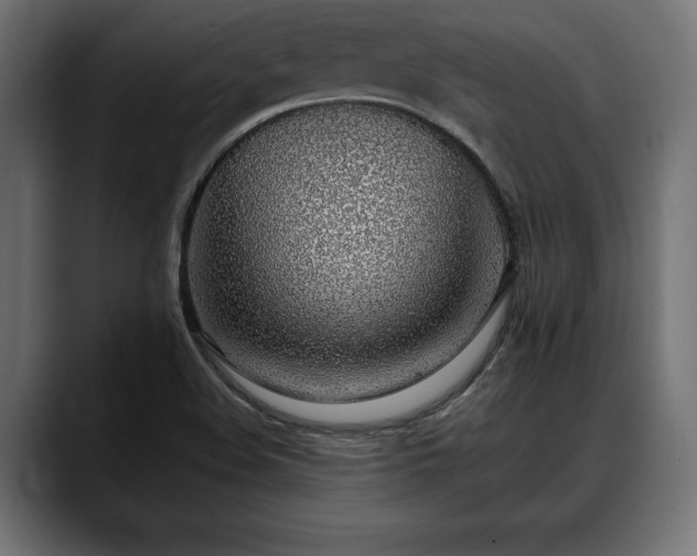 X0000088451508200705291503