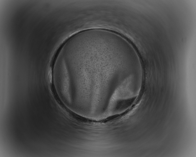 X0000088451509200705291503