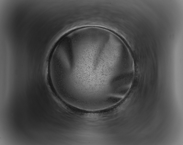 X0000088451511200705291503