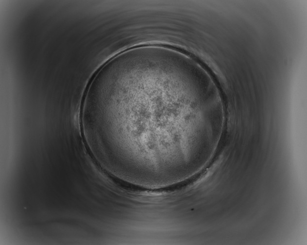 X0000088451513200705291503
