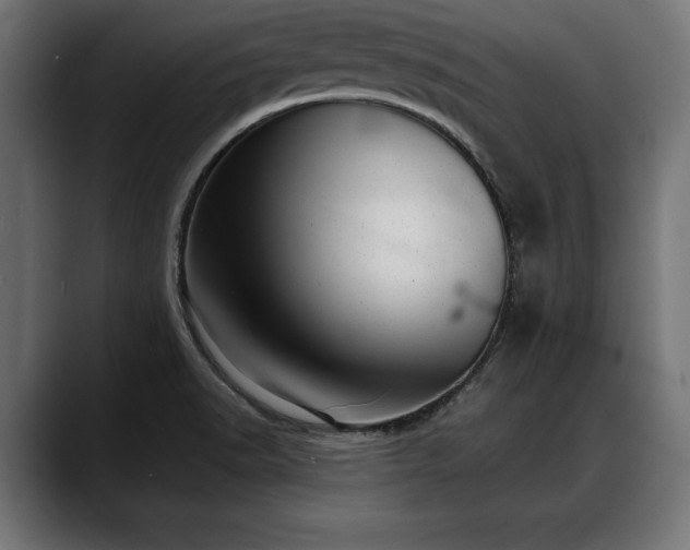 X0000088451518200705291503