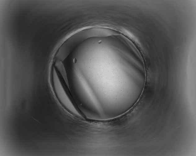 X0000088451520200705291503