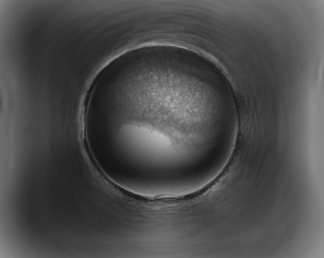 X0000088451522200705291503