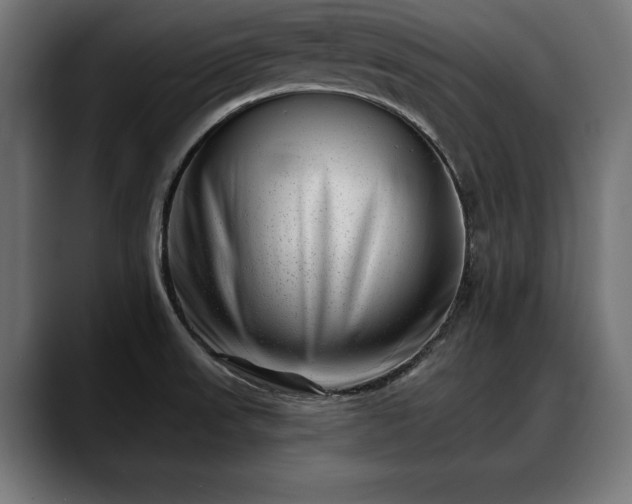X0000088451523200705291503