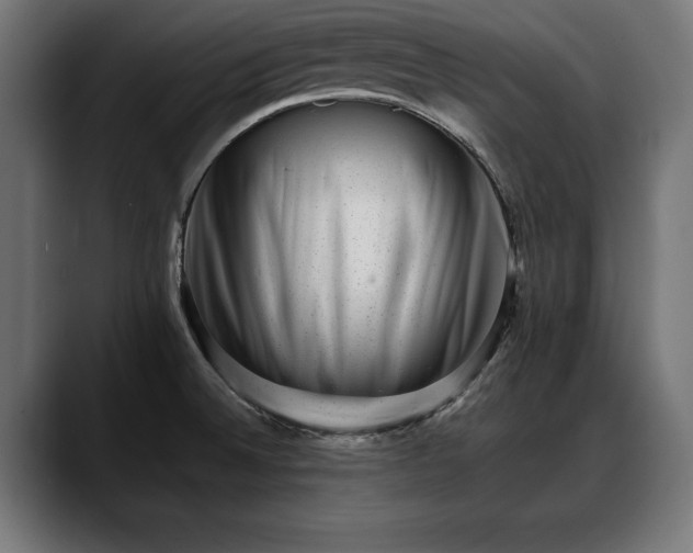 X0000088451524200705291503