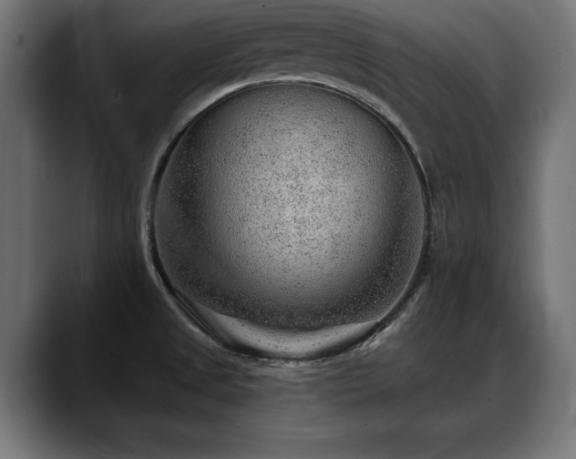 X0000088451525200705291503