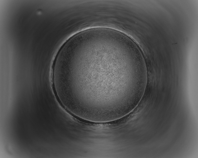 X0000088451527200705291503