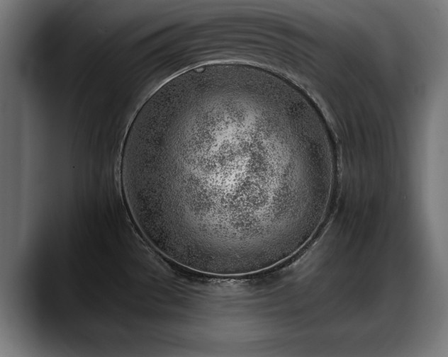 X0000088451529200705291503