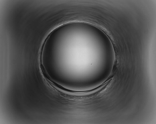X0000088451530200705291503