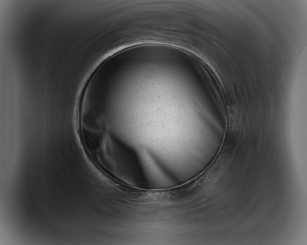 X0000088451531200705291503
