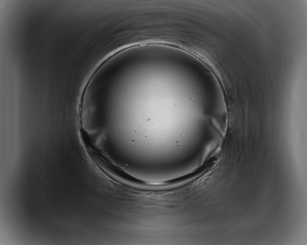 X0000088451532200705291503