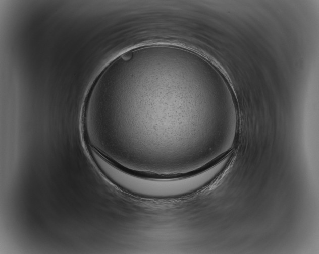 X0000088451533200705291503