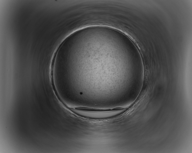 X0000088451535200705291503