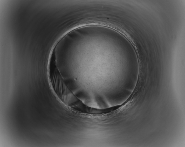 X0000088451536200705291503