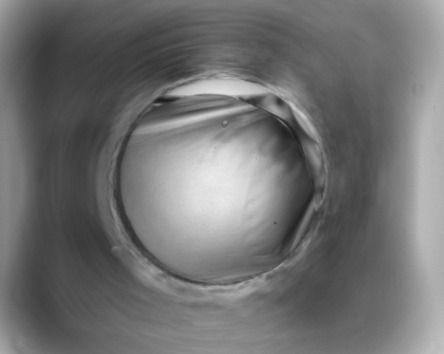 X0000088450001200706051314