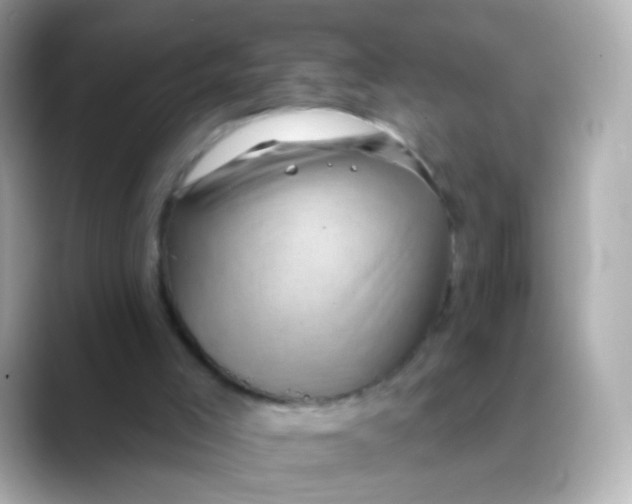 X0000088450005200706051314