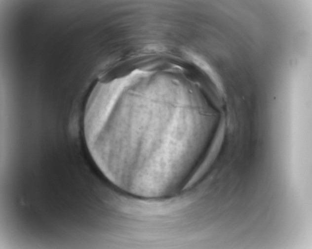 X0000088450010200706051314