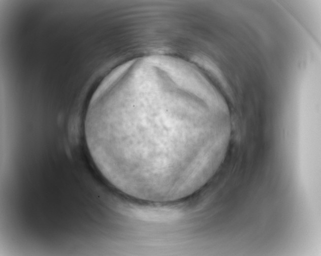 X0000088450012200706051314