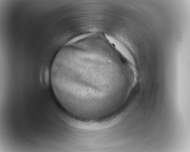 X0000088450014200706051314